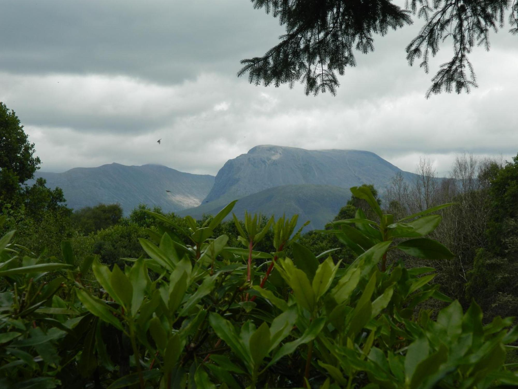 Tom Beag - Ben Nevis View Rooms Fort William Esterno foto